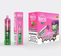 Bang Blaze 20000 Puffs Disposable Vape Pen with Smart Screen 1000mAh Battery Rechargeable Mesh Coil E-cigarette