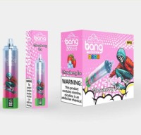 Bang Blaze 20000 Puffs Disposable Vape Pen with Smart Screen 1000mAh Battery Rechargeable Mesh Coil E-cigarette