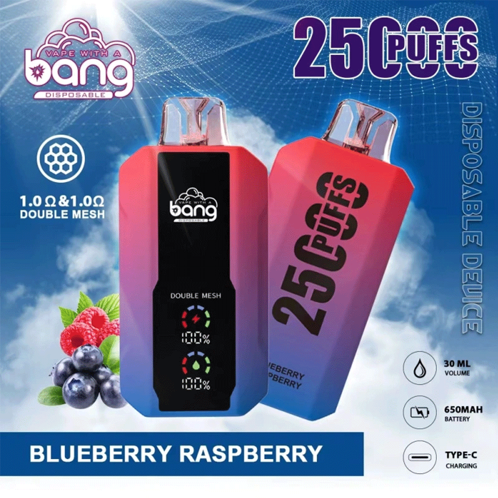 Bang Beach 25000 Puffs double mesh coil 0%2%3%5% nicotine original electronic cigarette