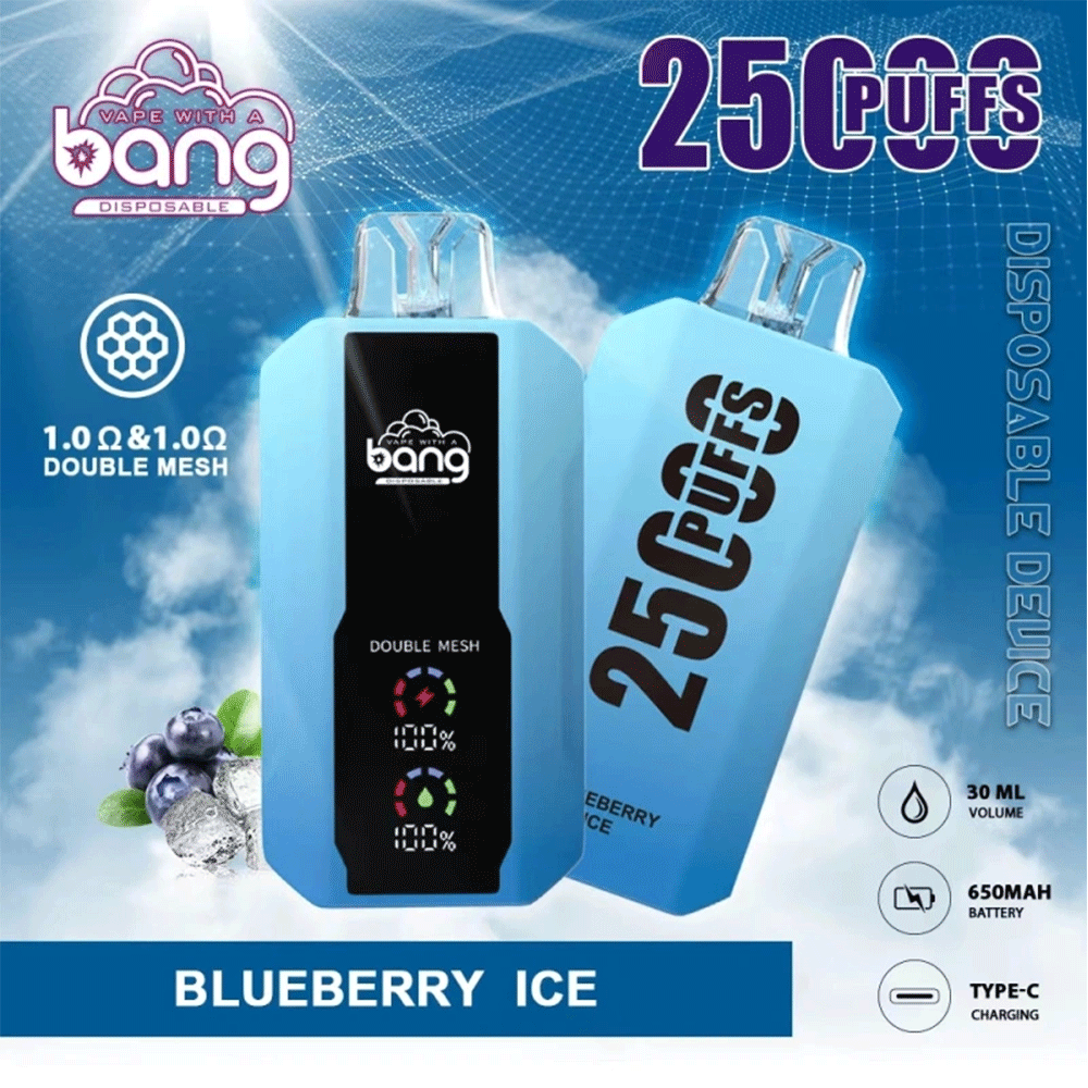 Bang Beach 25000 Puffs double mesh coil 0%2%3%5% nicotine original electronic cigarette