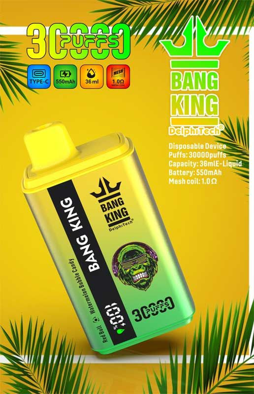 Bang King 30000 30k Puffs 0% 2% 3% 5% Nicotine New Double Taste Disposable Vape