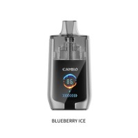Lavie Cameo 30000 Puffs dual mesh coil 0%2%3%5% nicotine disposable vape electronic cigarette tobacco