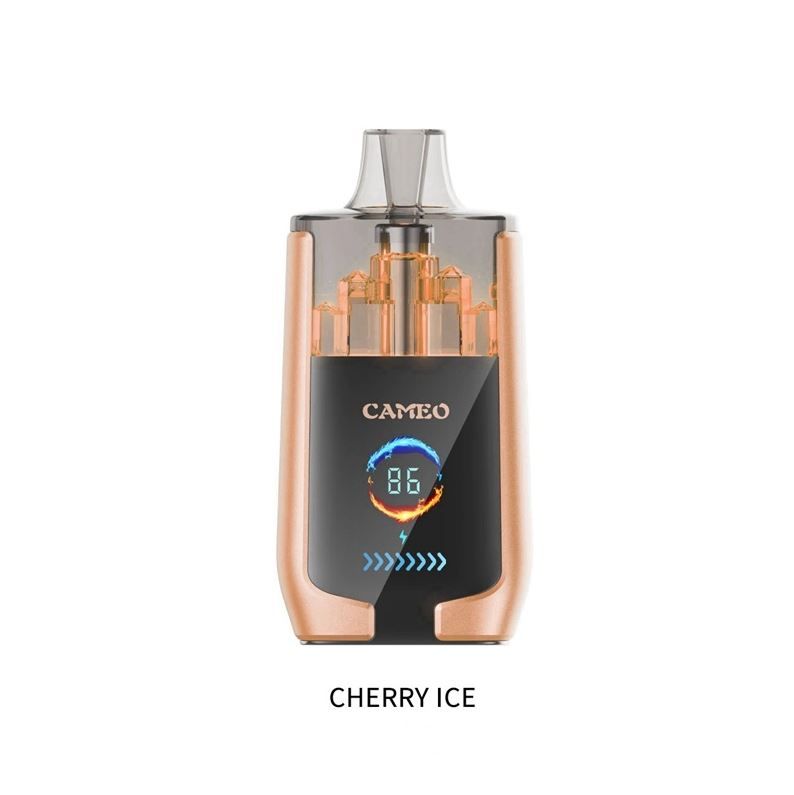 Lavie Cameo 30000 Puffs dual mesh coil 0%2%3%5% nicotine disposable vape electronic cigarette tobacco