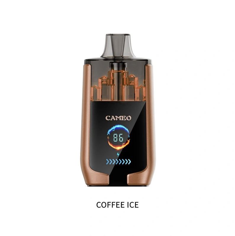 Lavie Cameo 30000 Puffs dual mesh coil 0%2%3%5% nicotine disposable vape electronic cigarette tobacco