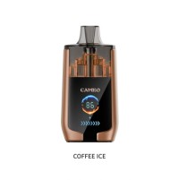 Lavie Cameo 30000 Puffs dual mesh coil 0%2%3%5% nicotine disposable vape electronic cigarette tobacco
