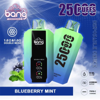 Bang Beach 25000 Puffs double mesh coil 0%2%3%5% nicotine original electronic cigarette