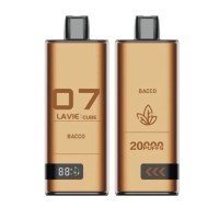 Lavie Cube 20000 Puffs Rechargeable Disposable Mesh Coil Disposable Vape