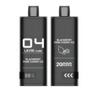 Lavie Cube 20000 Puffs Rechargeable Disposable Mesh Coil Disposable Vape