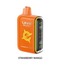 Lavie Plus 15000 Puffs Rechargeable Mesh Coil Disposable Vape